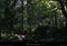 20090927_cornichebuffe15
