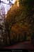 20011109_gorgesdunan_route_14