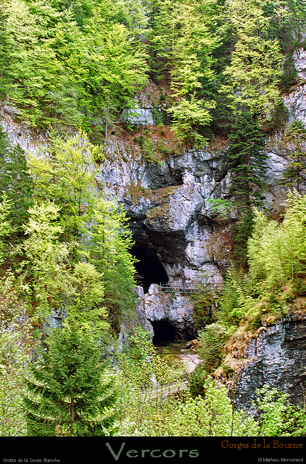 20020513_grottedelagouleblanche