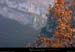 20020201_gorgesdeptenroyansdetoutesaures_1